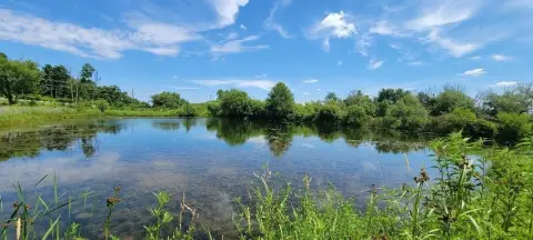Hobby Farm Recreation Tract