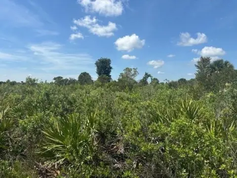 Okeechobee Land For Sale
