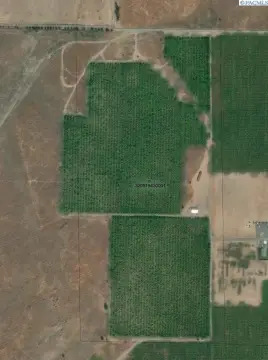 46-Acre Agricultural Land