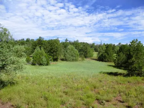 Recreation Land Adjacent Parcels