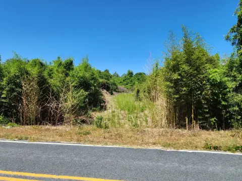 Vacant Land in Pinebluff, NC