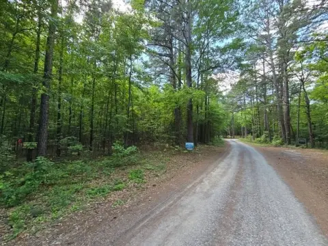 Land in Ouachita National Forest