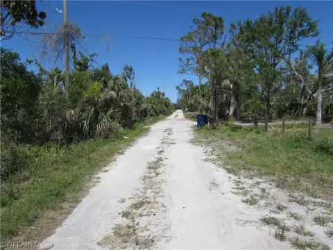 Bokeelia, FL 18-Acre Palm Grove