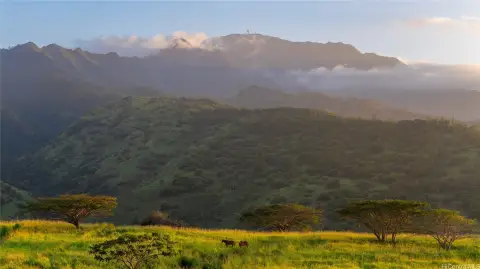 Waialua Farmland Investment Opportunity