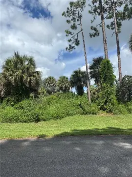 Residential Land in Palm Bay