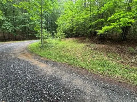 Land in Fires Creek