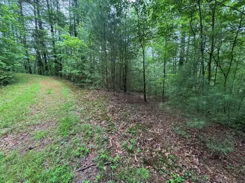 Land in Fires Creek