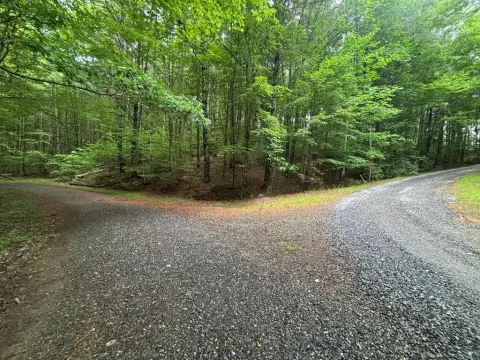 Land in Fires Creek