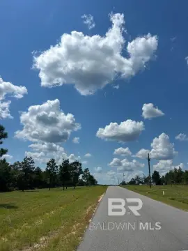 Residential Lots in Brewton, Alabama