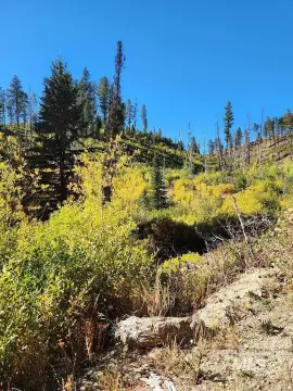 Featherville Land with Mining Claims