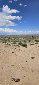 Half-Acre Residential Lot Investment