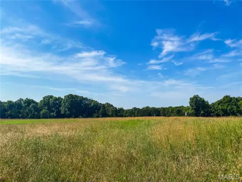 Marthasville Farm Land Opportunity
