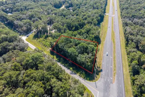 Commercial Land Near US Highway 19