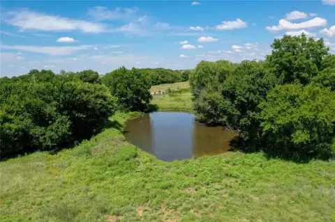 60 Acres of Texas Land