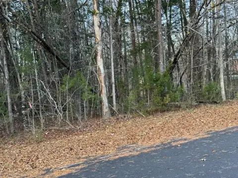 Residential Building Lot with Creek