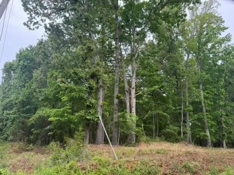 Wooded Lake-Access Land Parcel