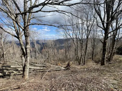 Land Near Smoky Mountains Park