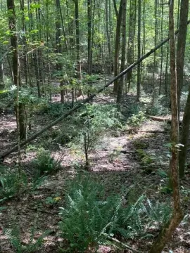 Opelika Vacant Land Opportunity