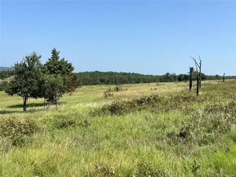 Ranch and Hunting Land with Ponds