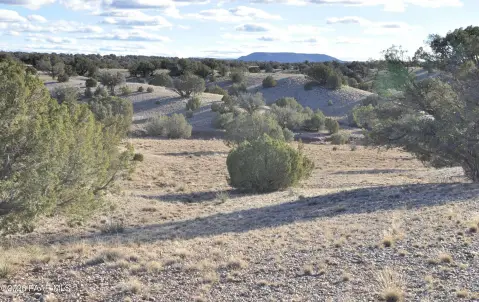 Land in Ranch of White Mountains