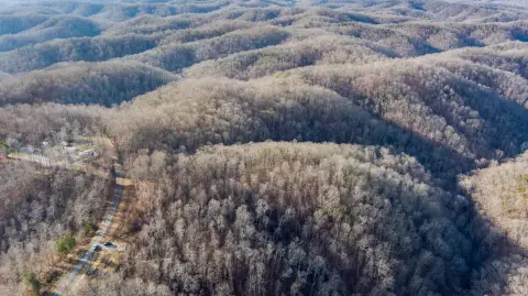 Vacant Hunting Land with Road Frontage