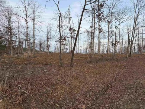 Residential Lot in Hot Springs