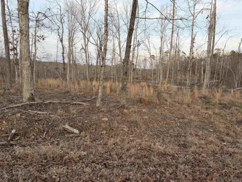 Residential Lot in Hot Springs