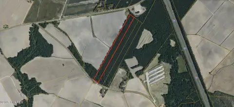 Wooded Acreage with Road Frontage