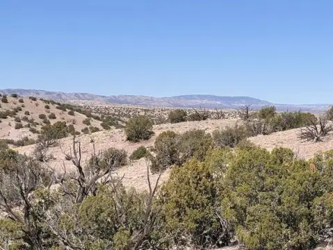 Bordering National Forest Hunting Land