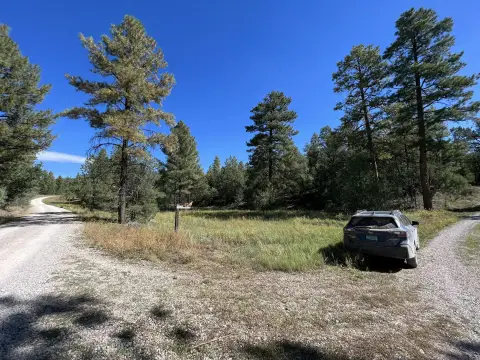 Wooded Land with Well, Views