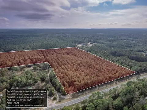 Crawfordville Timberland Near Highway 98