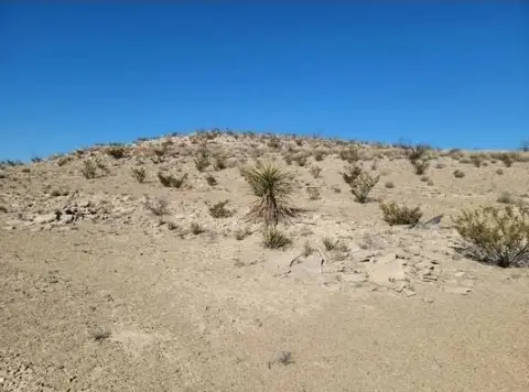 Mountain View Land