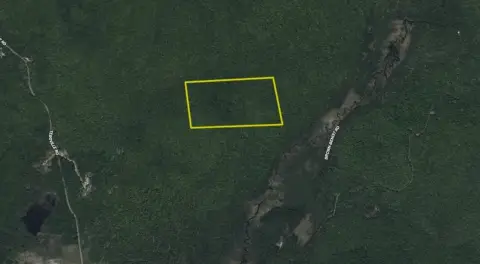 Secluded Timber Tract in Malone