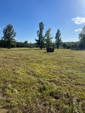 22 Acres in Goodwater Community