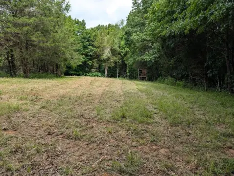 Waterfront Hunting and Timber Land