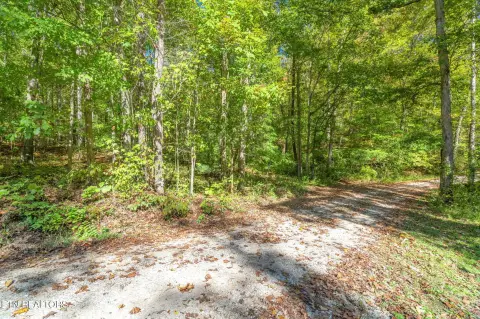 Harriman, TN Land Opportunity