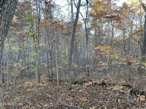 Crossville TN Wooded Lot