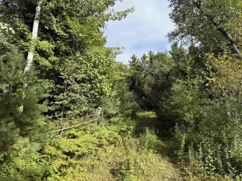 Recreational Hunting Land