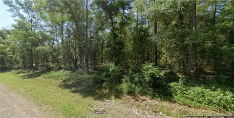 Citrus Springs Land Parcel