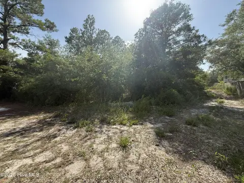 Residential Home Lot in MH