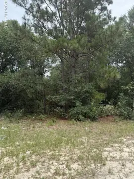 Agricultural Land Parcel