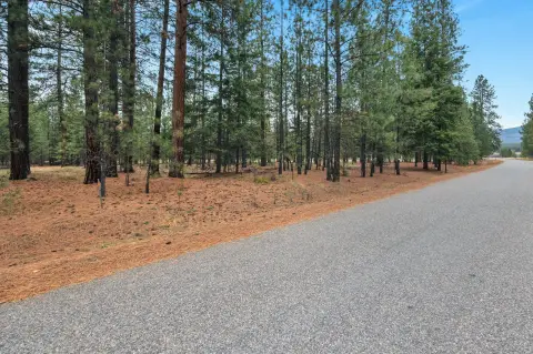 Residential Land in Plains, MT