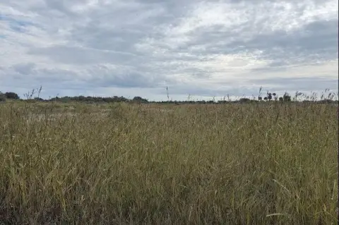 Okeechobee Land For Sale