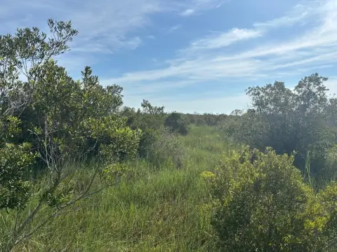 Okeechobee Land For Sale