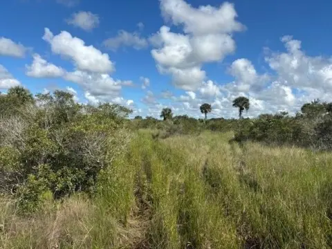 Okeechobee Land For Sale