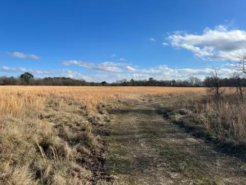 Cleared Ranch Land with Highway Access