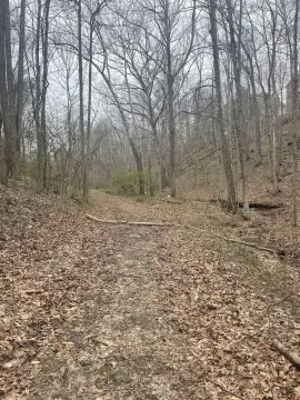 Undeveloped Land Near Huntington