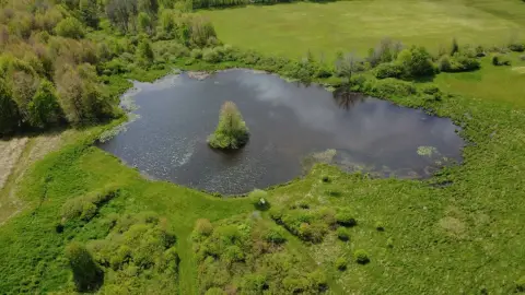 Recreational Land with Two Ponds