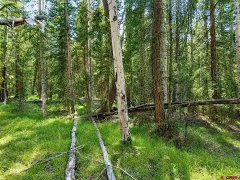 Wooded Recreational Cabin Lot