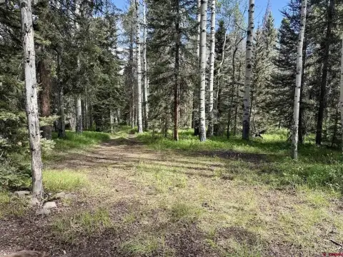 Wooded Mountain Lot with Cleared Building Area